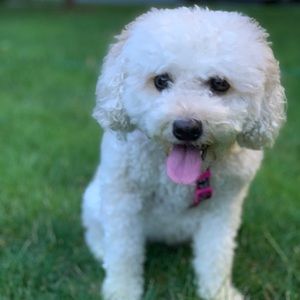 Meet your Posher, Sally